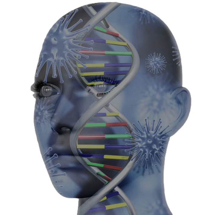 Background shape image